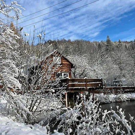 Pod Dobrym Adresem- Domek Nad Stawem Cisna Exterior photo