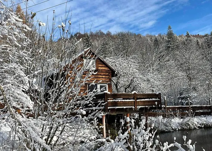Pod Dobrym Adresem- Domek Nad Stawem
