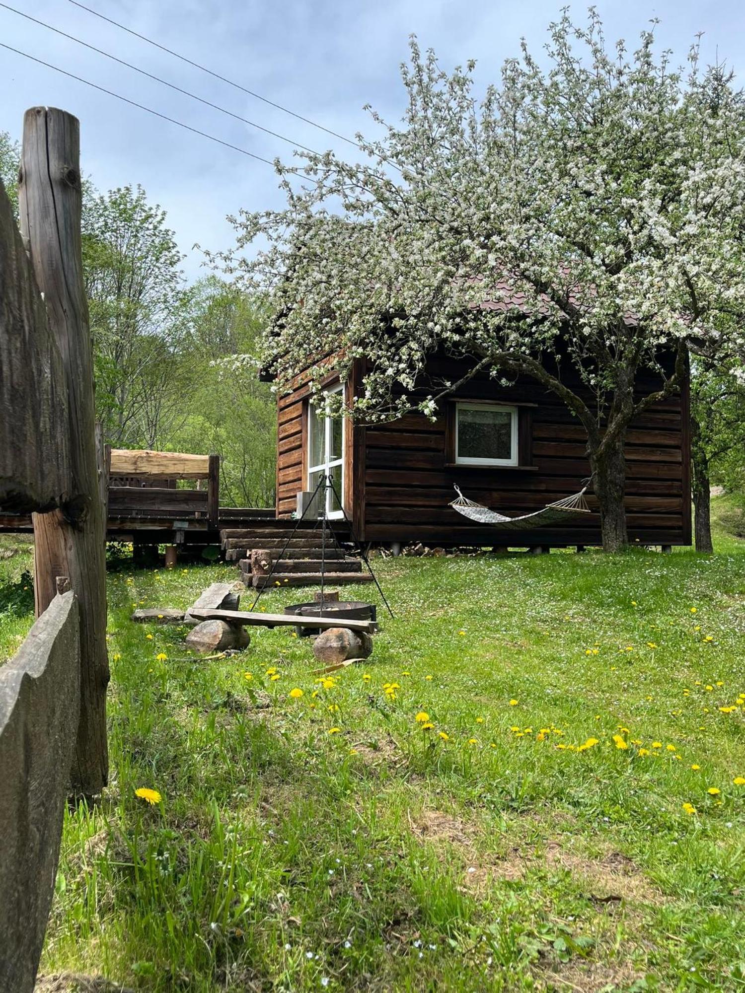 Ferienhaus Pod Dobrym Adresem- Nad Stawem *