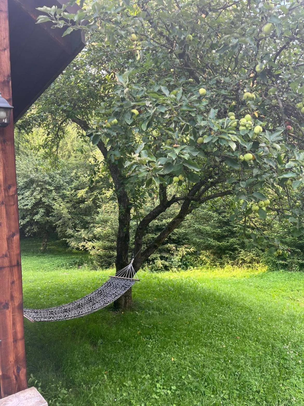 Pod Dobrym Adresem- Nad Stawem *